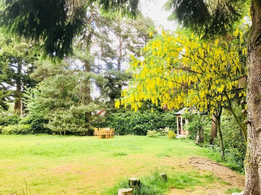 The Beeches Studio, Highlands Of Scotland Newtonmore Bagian luar foto