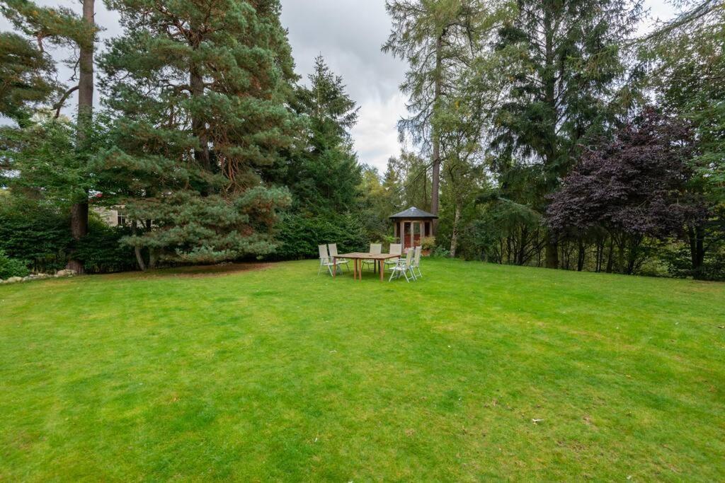 The Beeches Studio, Highlands Of Scotland Newtonmore Bagian luar foto