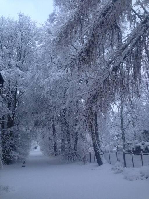 The Beeches Studio, Highlands Of Scotland Newtonmore Bagian luar foto