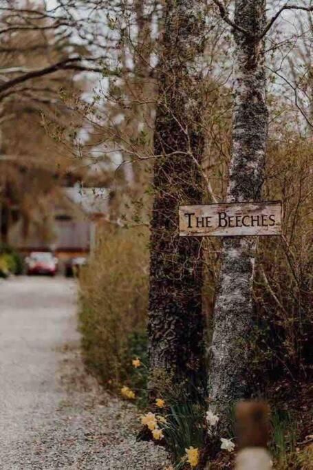 The Beeches Studio, Highlands Of Scotland Newtonmore Bagian luar foto