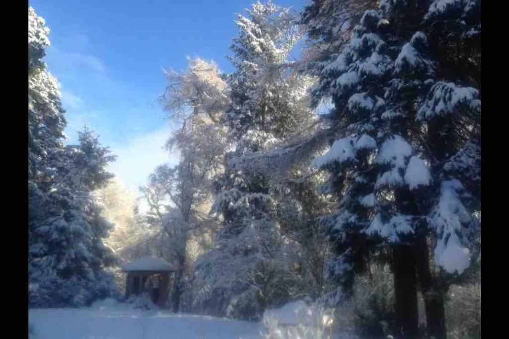 The Beeches Studio, Highlands Of Scotland Newtonmore Bagian luar foto